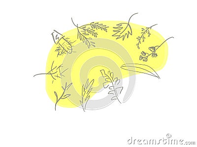 Herbal illustration background of yellow and gray colors Cartoon Illustration