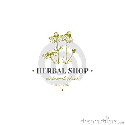 Herbal logo. Vector Illustration