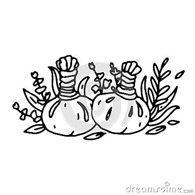 Herbal massage balls in doodle outline style. Spa herbal compress balls Vector Illustration