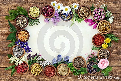 Herbal Medicine Background Border Stock Photo