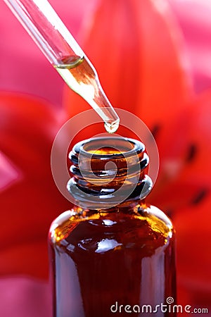 Herbal Medicine Dropper Bottle with Flowers Stock Photo