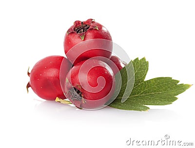 Herbal medicine: Hawthorn Stock Photo