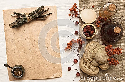 Herbal medicine. The recipe. Alternative medicine concept. Dry berry organic natural ingridients. Stock Photo