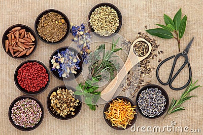 Herbal Medicine Stock Photo