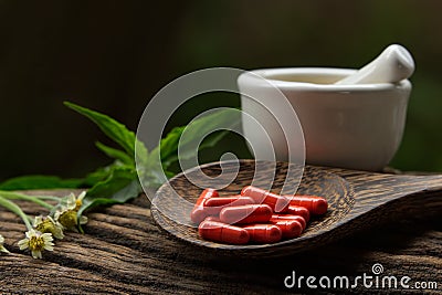 Herbal medicine in wood spoon Stock Photo