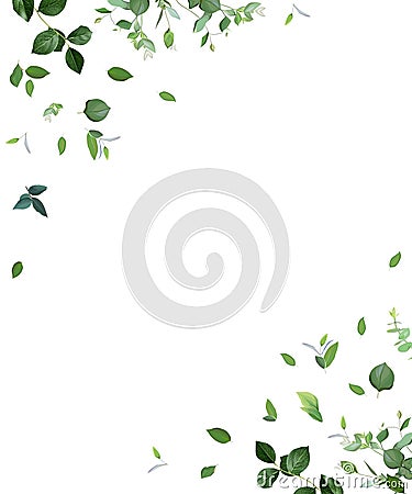 Herbal minimalist vector frame Stock Photo