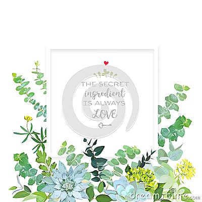 Herbal mix square vector frame box Vector Illustration