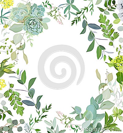 Herbal mix square vector frame. Hand painted plants, branches, leaves, succulents and flowers on white background. Vector Illustration