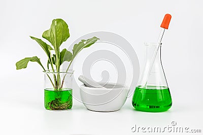 Herbal natural organic botany Stock Photo