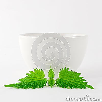 Herbal Nettle Tea Bowl Stock Photo