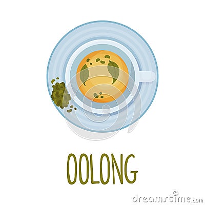 Herbal Oolong Chinese Tea View From Above Vector Illustration Vector Illustration