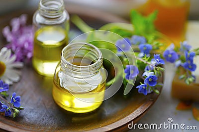 Herbal plants oils, alternative herbal medicine, oil bottles Stock Photo