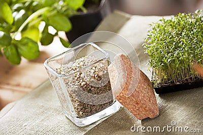 Herbal Salt Stock Photo