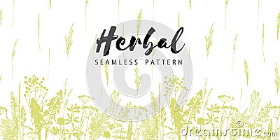 Herbal seamless pattern. Botanical border. Vector grass background. Vector Illustration