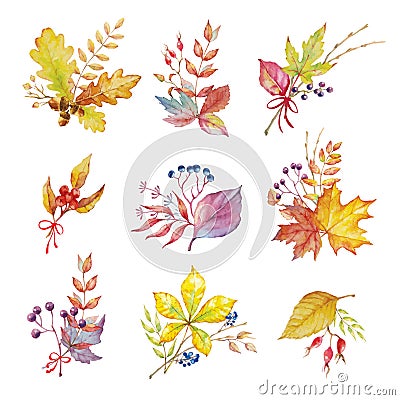 Herbal set of autumn composition. Watercolor painted bouquet, branches and leaves on white background Vector Illustration