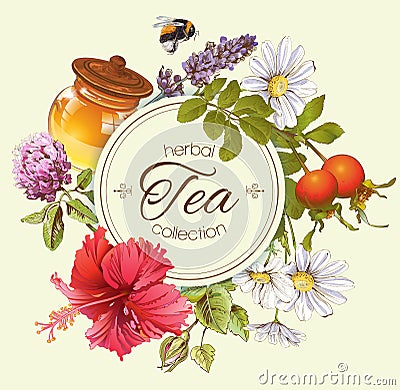 Herbal tea banner Vector Illustration