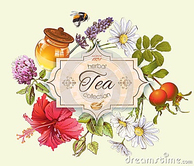 Herbal tea banner Vector Illustration