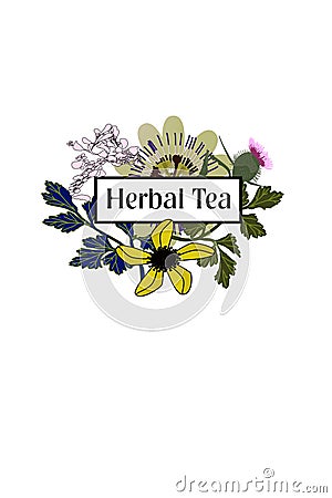 Herbal tea caffeine free Vector Illustration