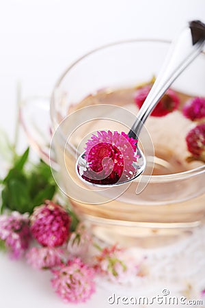 Herbal tea with clover flower Stock Photo