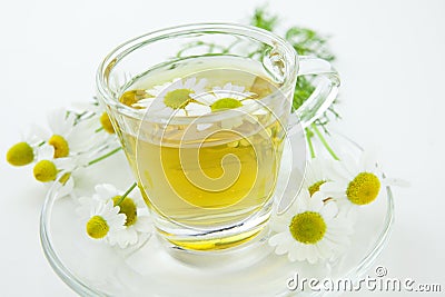 Herbal tea with fresh chamomile Stock Photo