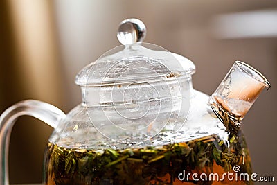 Herbal tea in glass teapot Stock Photo