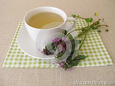 Herbal tea with purple dead nettle Stock Photo