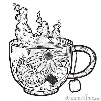 Herbal tea in a transparent cup. Sketch scratch board imitation coloring. Vector Illustration