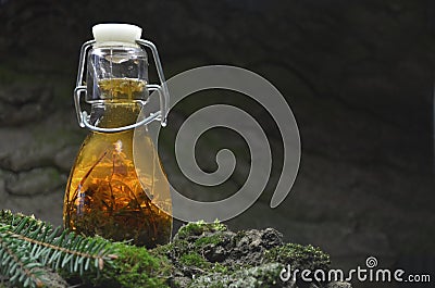 Herbal tincture bio eco organic. Bottle, glass. Stock Photo