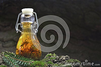 Herbal tincture bio eco organic. Bottle, glass. Stock Photo