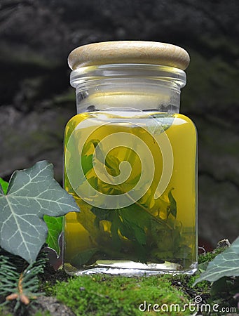 Herbal tincture bio eco organic. Bottle, glass. Stock Photo