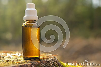 Herbal tincture in a glass bottle in the sun rays in the forest.herbal remedy.natural pharmacy.homeopathic remedies Stock Photo