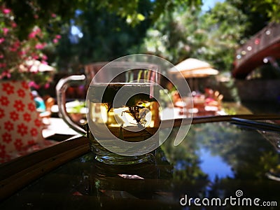 Herbal turkish tea in glass Summer time Stock Photo