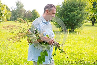 Herbalist Stock Photo