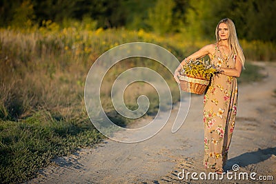 An herbalist walks down a sandy road with a basket full of herbs toward the camera. Goldenrod and winterflower. Stock Photo