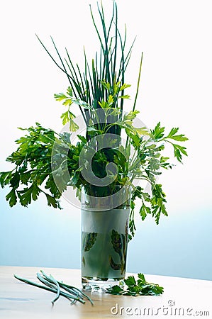 Herbs Stock Photo