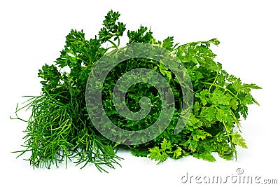 Herbs Collection On White Stock Photo