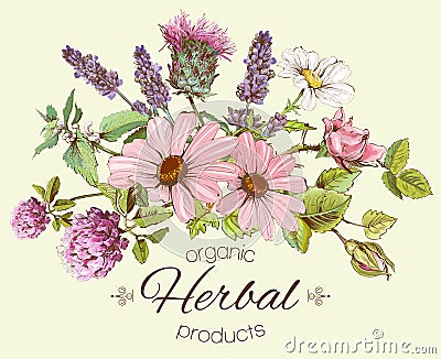 herbs composition Vector Illustration