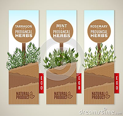 Herbs de Provence banners Vector Illustration