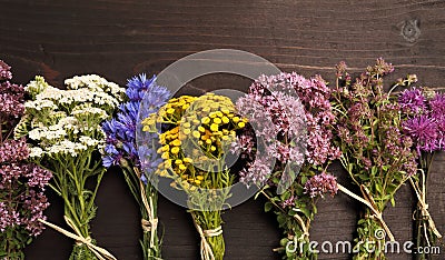 Herbs. Stock Photo