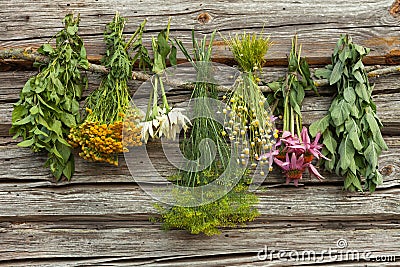 Herbs Stock Photo