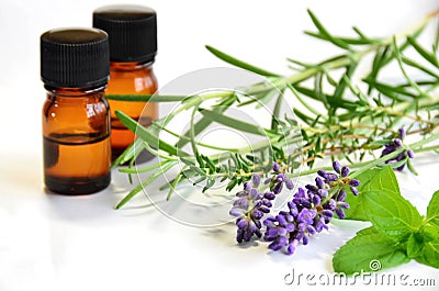 Herbs and essential oils Stock Photo