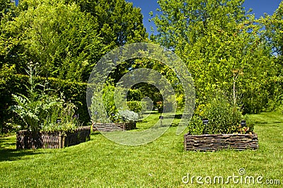 Herbs garden Stock Photo