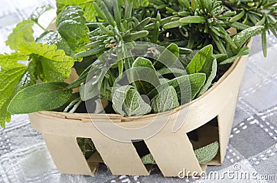 Herbs from the garden in a basket Stock Photo