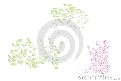herbs, leaf. collection garden and wild, forest herb, flowers Stock Photo