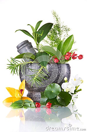 Herbs And Mortar Stock Photo