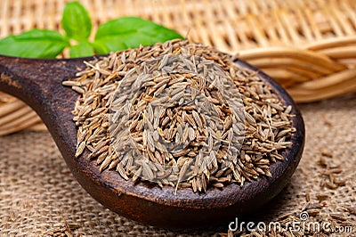 Herbs and seeds collection, aromatic dried seasoning cumin close up Stock Photo
