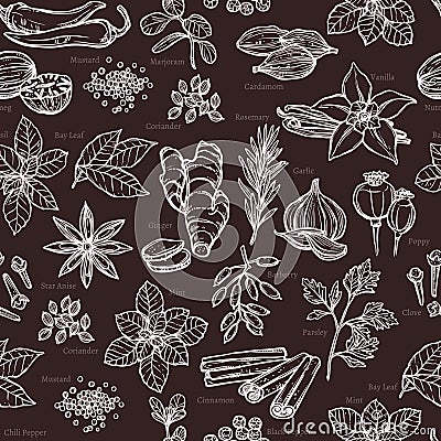 Herbs And Spice Sketch Pattern Vector Illustration