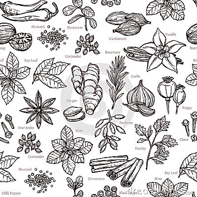 Herbs And Spice Sketch Pattern Vector Illustration