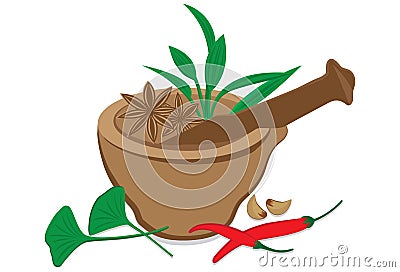 Herbs and Spices Cartoon Illustration