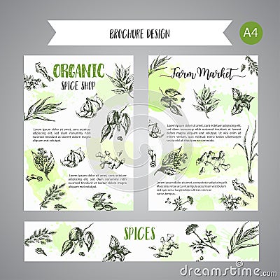 Herbs and spices background. Herb, plant, spice hand drawn set. Organic garden herbs engraving. Botanical sketches Vector Illustration